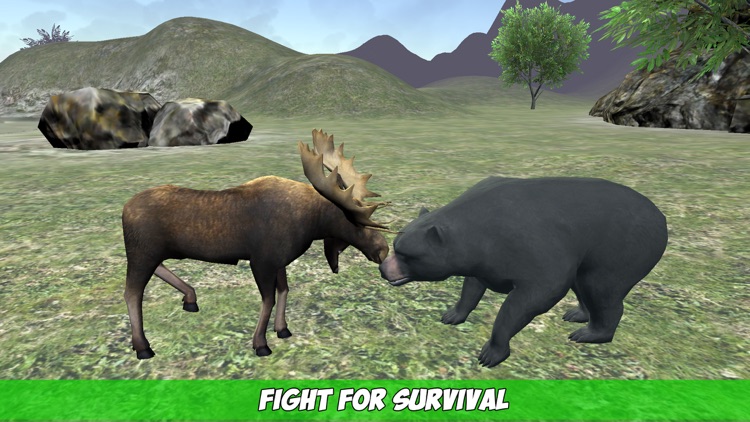 Forest Animals Simulator