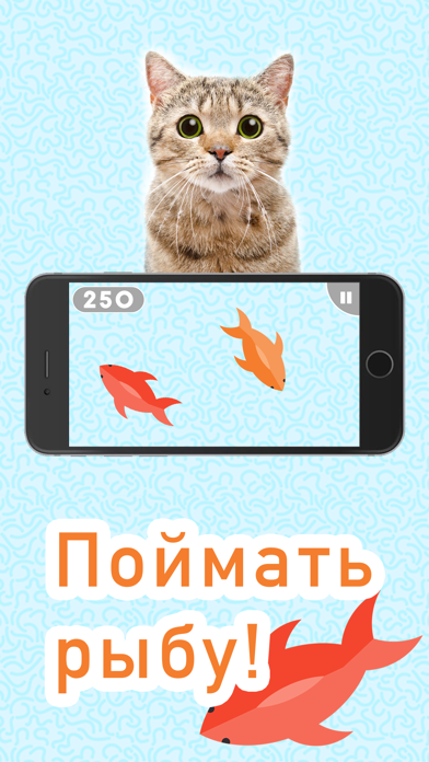 Программа для кошек android