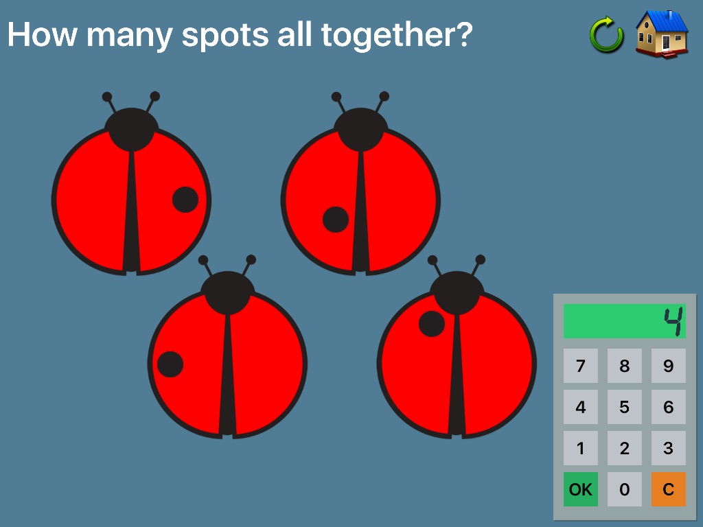 Ladybird Maths screenshot 3