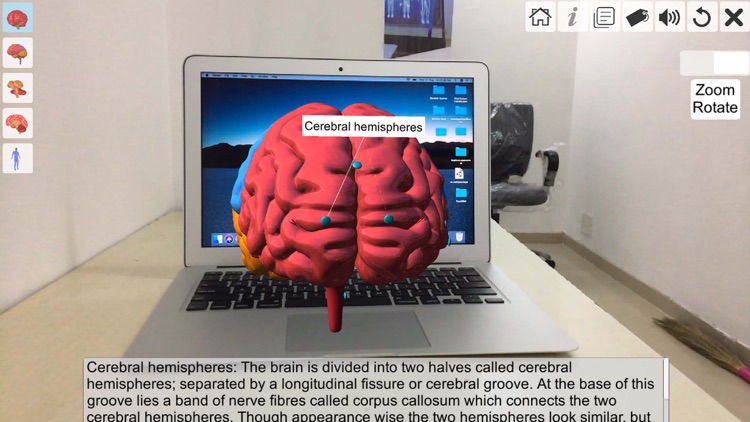 AR Human brain