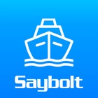 Saybolt Cargo Check