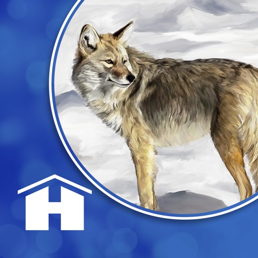 Power Animal Oracle Cards icon