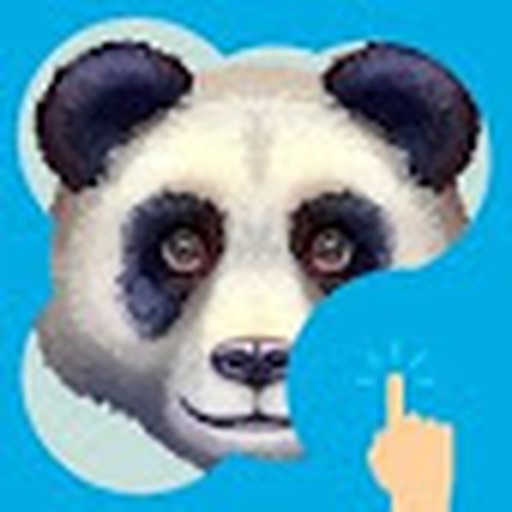 Guess the Picture Quiz