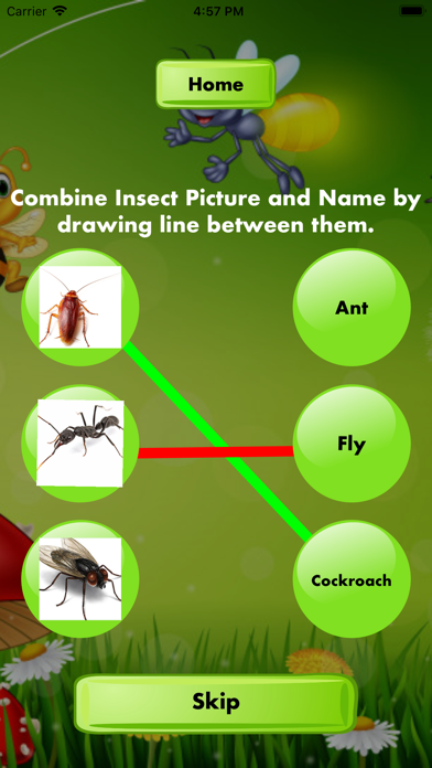 Combine Insects Picture Name screenshot 4