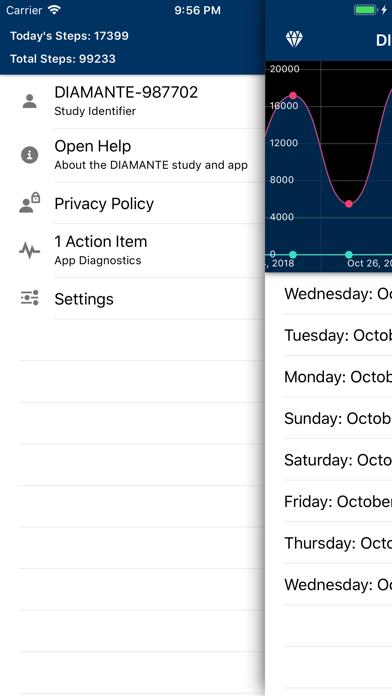 DIAMANTE Step Tracking screenshot 2