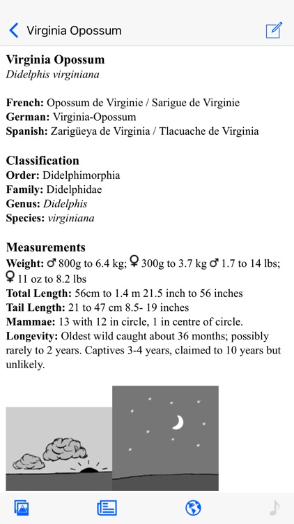 Stuarts North American Mammals