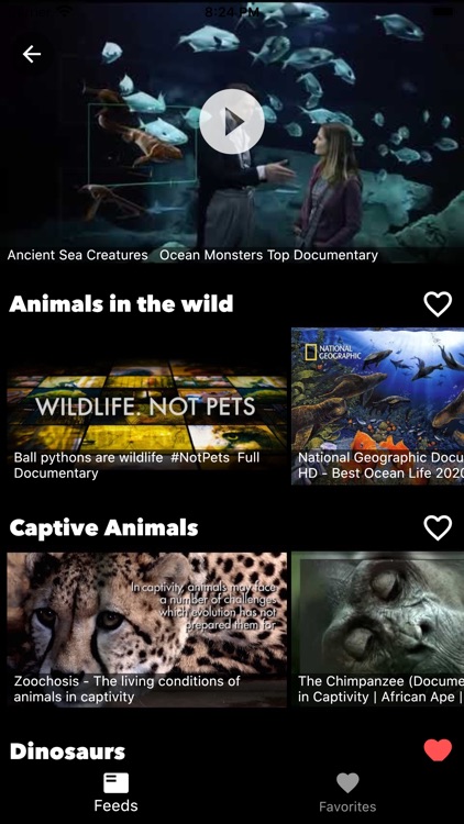 Docutimes - Documentary App