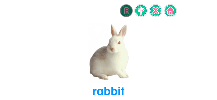 PicDic - Animals Eng-Chinese