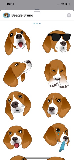 Beagle Bruno(圖3)-速報App