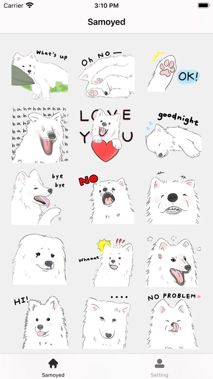 Samoyed - Sticker