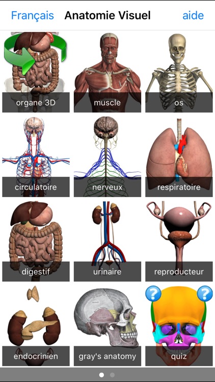 Anatomie Visuel