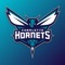 Enhance your Spectrum Center experience with the official app of the Charlotte Hornets