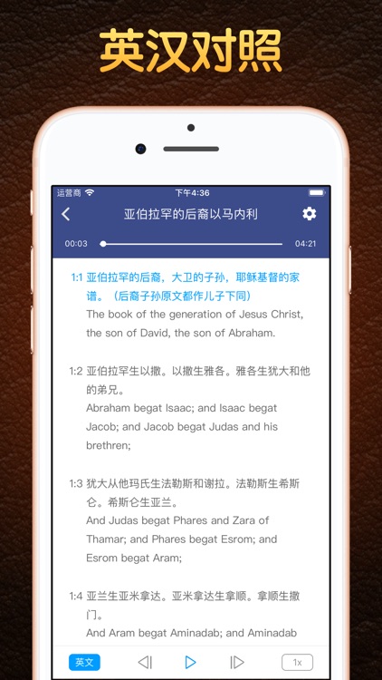 语音圣经 - Standard Bible screenshot-3