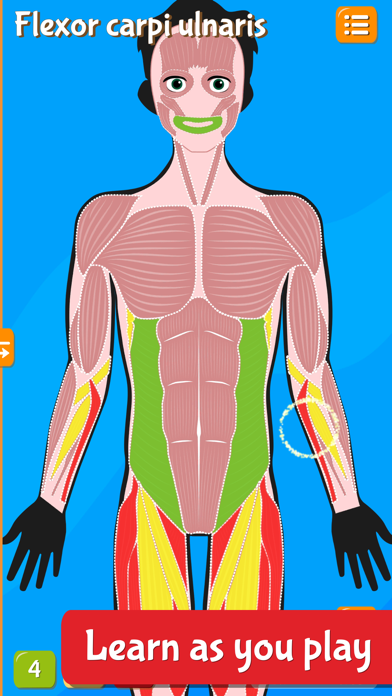 Anatomix - Human Body Game screenshot 2