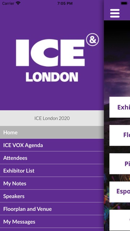 ICE London 2020