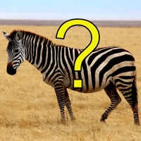 Quiz Image pour PC
