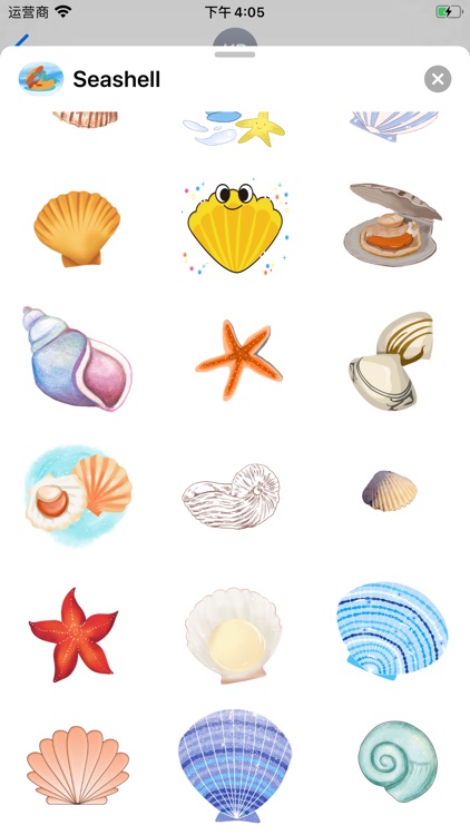 Cute Seashell Sticker