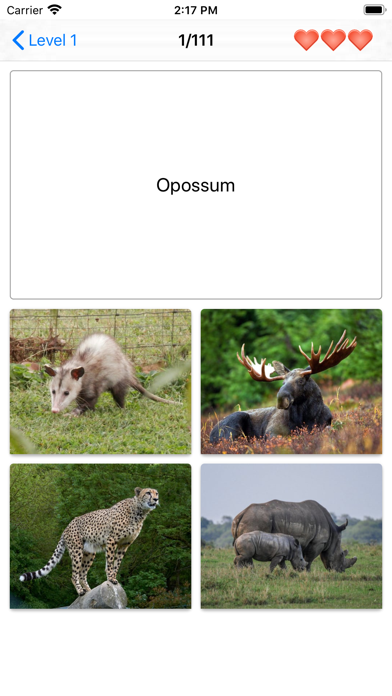Mammals – Learn All Animals! screenshot 4