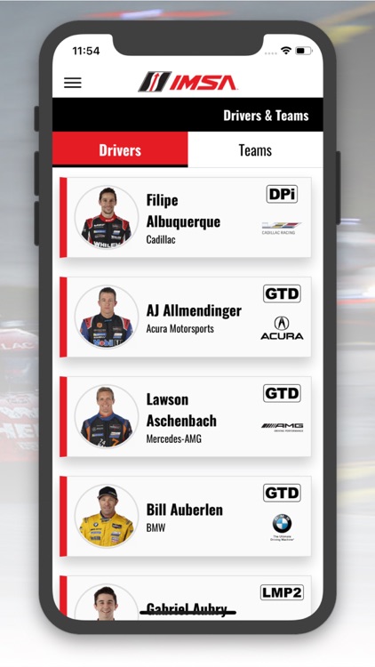IMSA screenshot-3