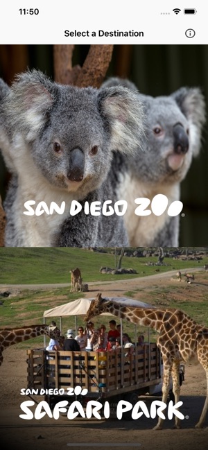 San Diego Zoo - Travel Guide