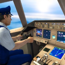 Activities of Flight Simulator 2019