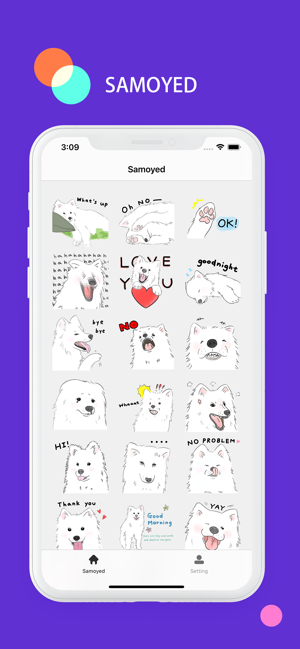 Samoyed - Sticker