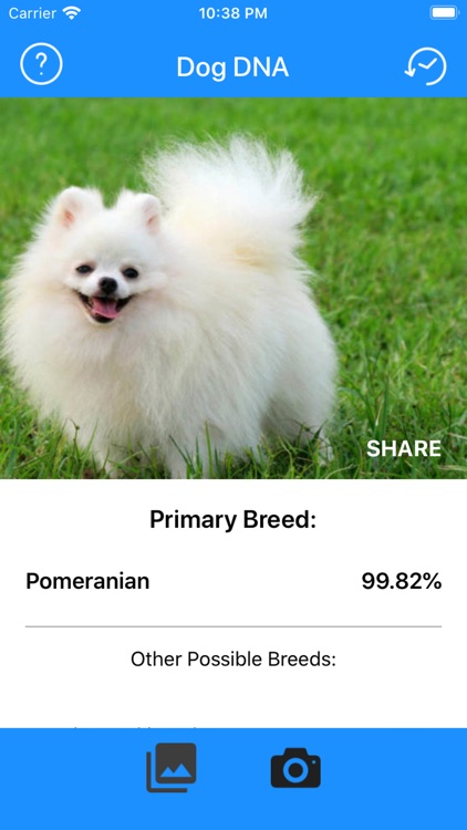 DogDNA