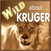 Wild About Kruger Park