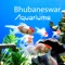 Bhubaneswar-Aquariums is useful application to find Aquariums in Bhubaneswar