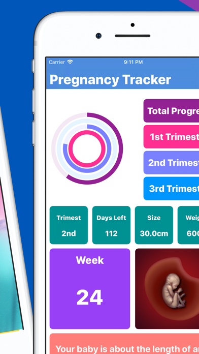 Pregnancy Tracker Your Journey screenshot 2