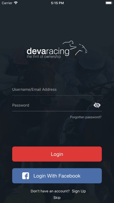 Deva Racing screenshot 2