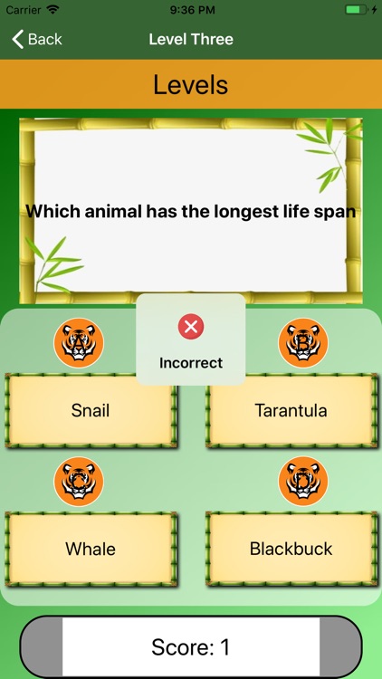 Animals Queries screenshot-4