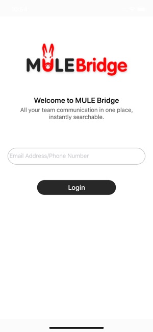 MULE Bridge(圖1)-速報App