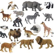 Activities of Guess Animals Quiz Game