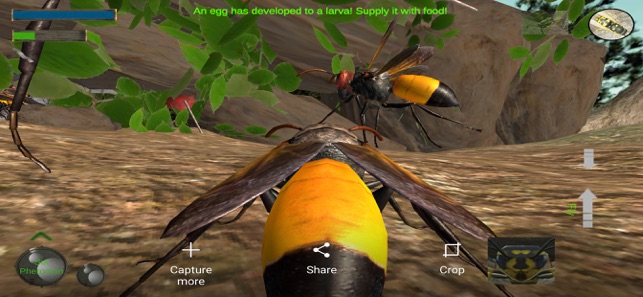 Wasp Nest Simulation Full(圖5)-速報App