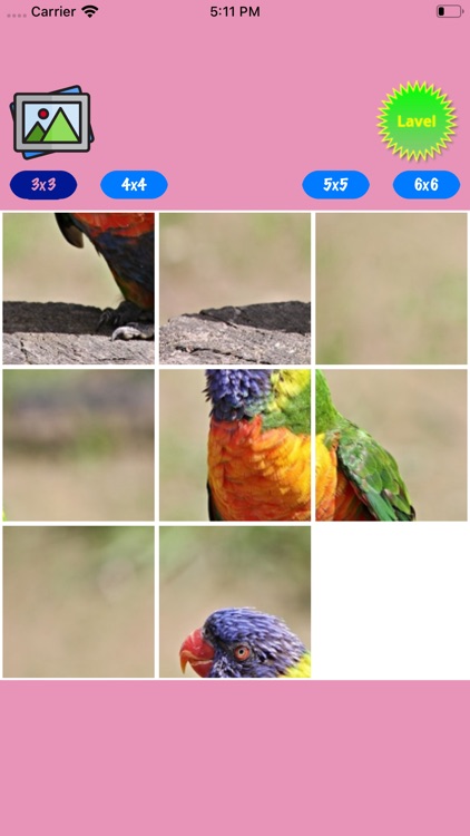 Colorful Parrots Puzzle screenshot-3