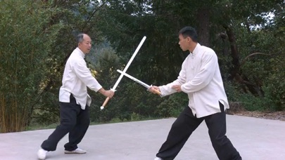 Tai Chi Sword for Beginners screenshot 4
