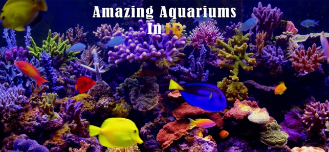 Amazing Aquariums In HD(圖1)-速報App