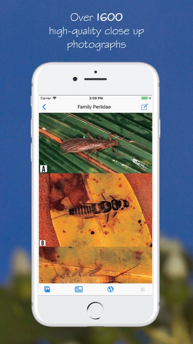 eInsects of South Africa App | AppWebKit