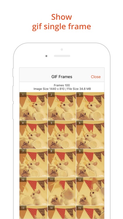 GIF Viewer - The GIF Album screenshot-4