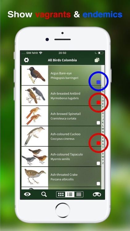All Birds Colombia field guide screenshot-4