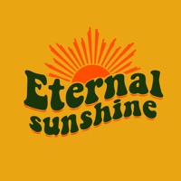 Kontakt Eternal Sunshine