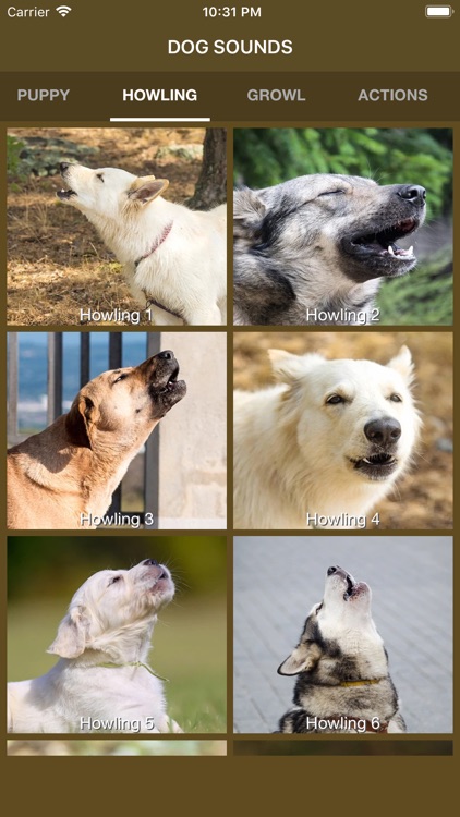 Dog Sounds - Collection