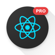 Learn React 16.9 Pro