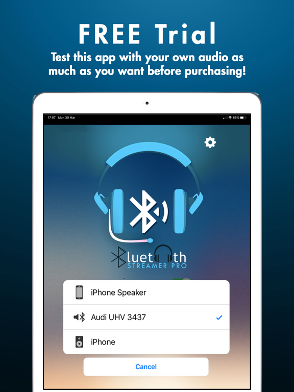 Bluetooth Streamer Pro screenshot 4