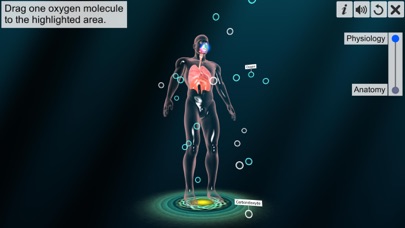 How to cancel & delete Respiratory system physiology from iphone & ipad 3