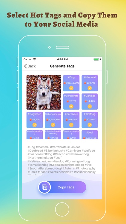 Likes Smart Captions & AI Tags