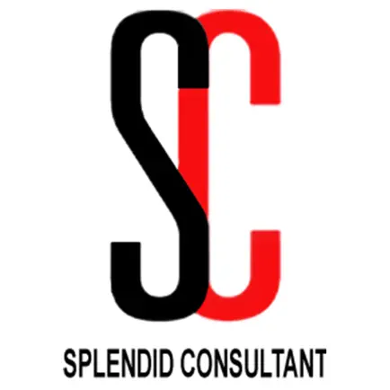 Splendid Consultant Читы