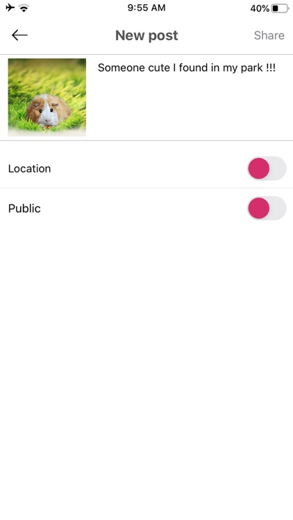 Petterly screenshot-5