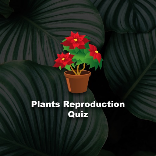 Plants Reproduction Quiz